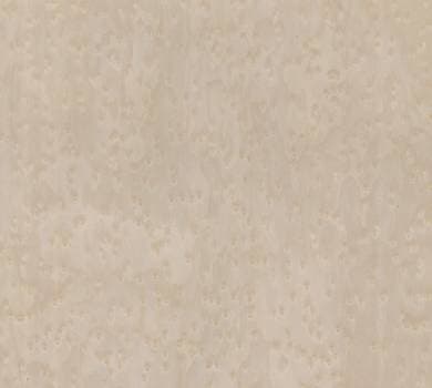 Dune 12.02