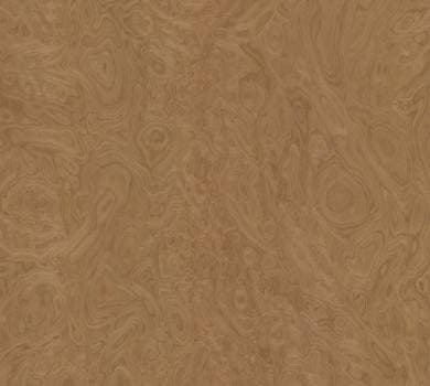 Walnut Burl 10.07