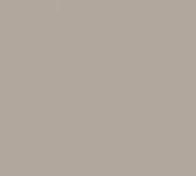 0748 Beige Arizona